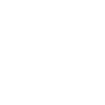 Specialized Security Services